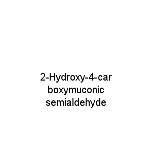 2-Hydroxy-4-carboxymuconic semialdehyde